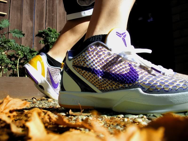 kobe 5 lakers release date